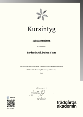 Kursintyg