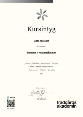 Kursintyg