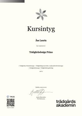 Kursintyg