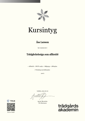 Kursintyg