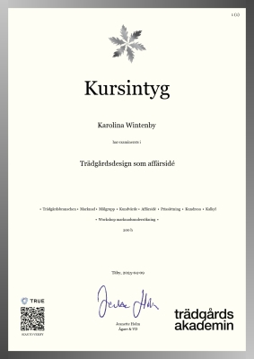 Kursintyg - Canvas