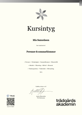 Kursintyg