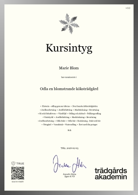Kursintyg - Canvas