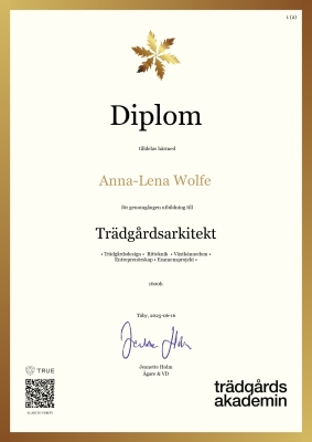 Diplom - Canvas