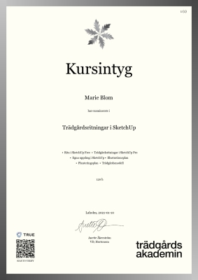 Kursintyg - Canvas