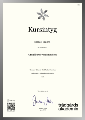 Kursintyg - Canvas