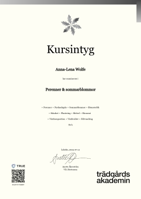 Kursintyg