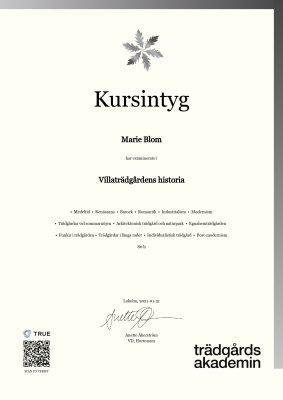 Kursintyg