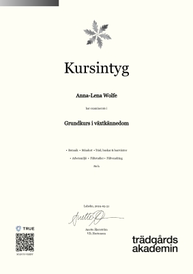 Kursintyg