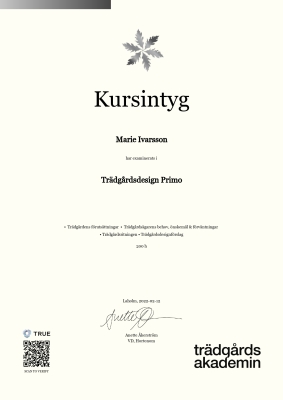 Kursintyg