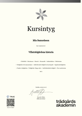 Kursintyg