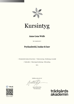 Kursintyg