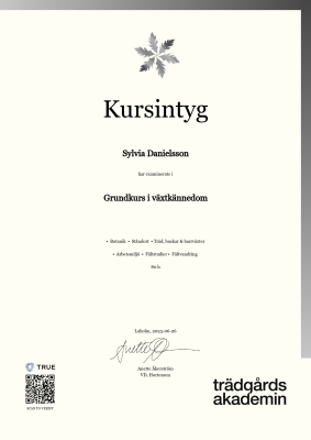Kursintyg