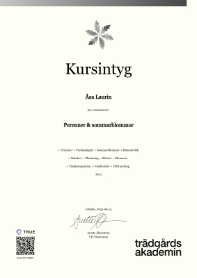 Kursintyg