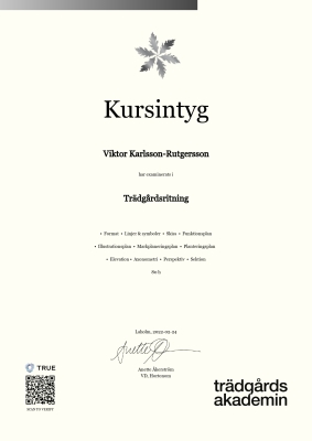 Kursintyg
