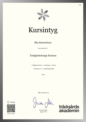 Kursintyg - Canvas