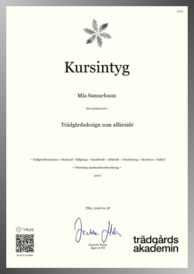 Kursintyg - Canvas