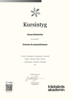 Kursintyg