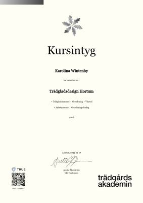 Kursintyg