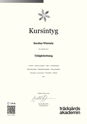 Kursintyg