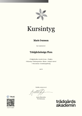 Kursintyg