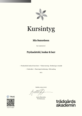 Kursintyg