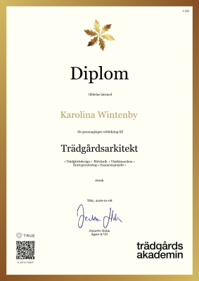 Diplom - Canvas