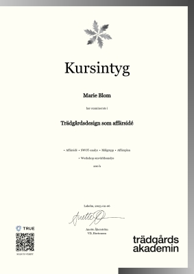 Kursintyg