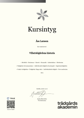 Kursintyg
