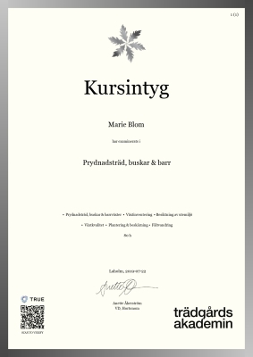 Kursintyg - Canvas