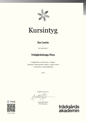 Kursintyg