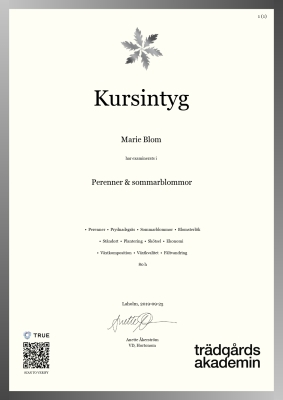 Kursintyg - Canvas