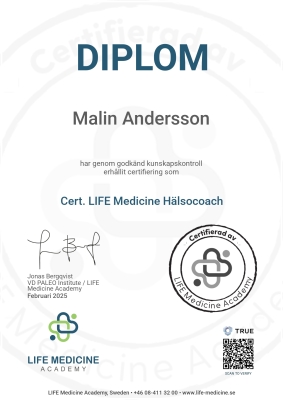 Diplom Life - SV