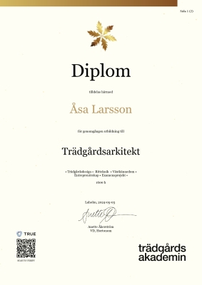 Diplom