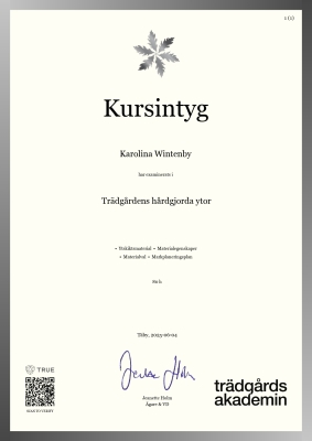 Kursintyg - Canvas