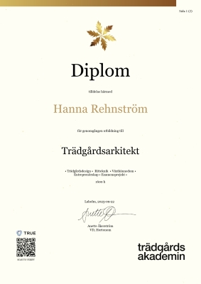 Diplom