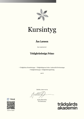 Kursintyg