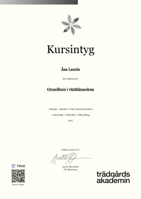 Kursintyg