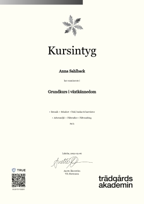 Kursintyg