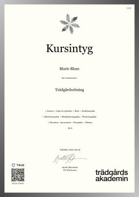 Kursintyg - Canvas