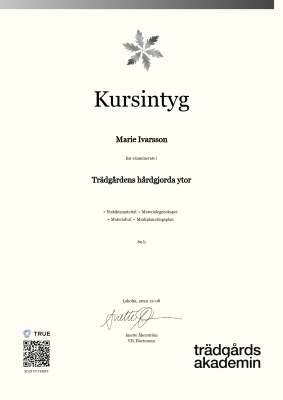 Kursintyg
