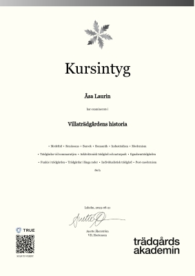 Kursintyg
