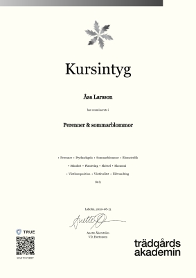 Kursintyg