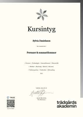 Kursintyg