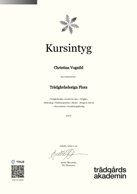 Kursintyg