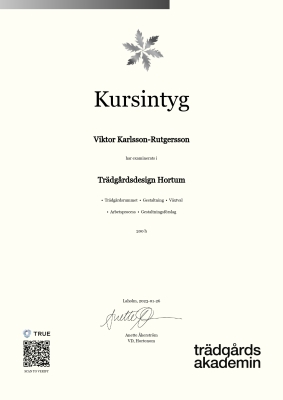 Kursintyg