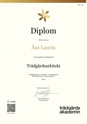 Diplom