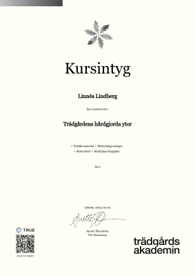 Kursintyg