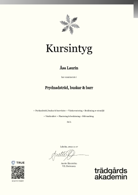 Kursintyg