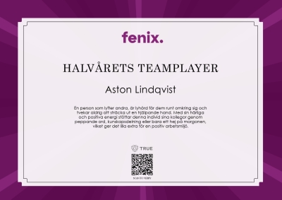 Halv&aring;rets ledare